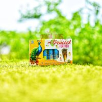 Peacock Feather (5pcs/Box)