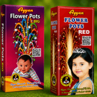 AYYAN FLOWER POTS