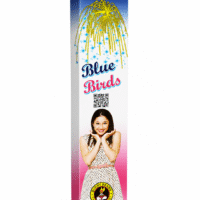 Blue Birds