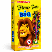 Flower pot Big (10 pcs/Box)