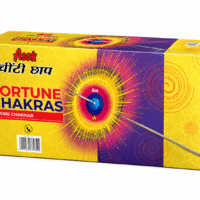 Fortune Chakkar (10 pcs/Box)
